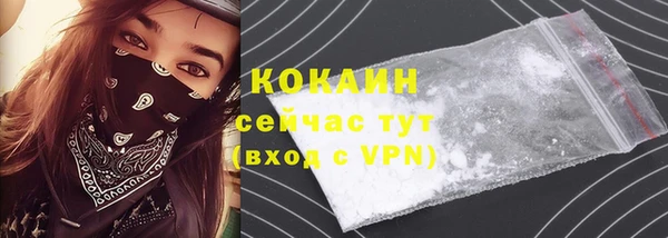 прущий лед Алзамай