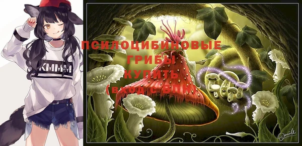 прущий лед Алзамай
