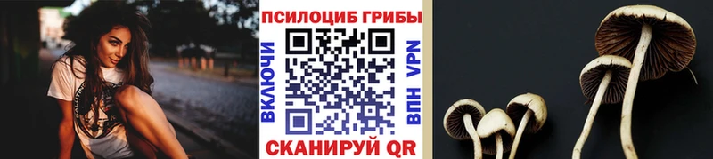 это Telegram купить цена Инсар Псилоцибиновые грибы мухоморы mega